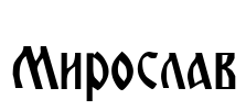 Miroslav Font Image