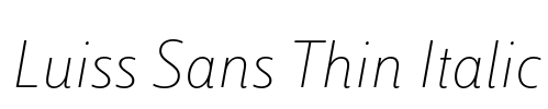 Luiss Sans Thin Italic