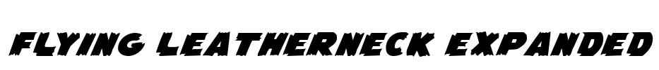 Flying Leatherneck Expanded Font Image