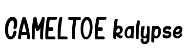 CAMELTOE kalypse Font Image