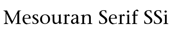 Mesouran Serif SSi Font Image