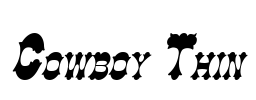 Cowboy Thin Font Image