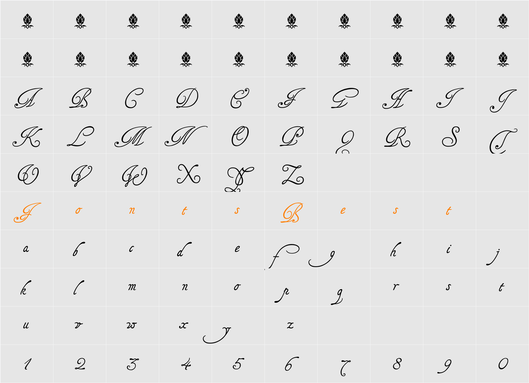 Tagettes Character Map