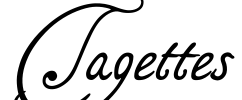 Tagettes