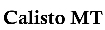 Calisto MT Font Image