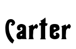 Carter Font Image