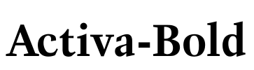 Activa-Bold Font Image