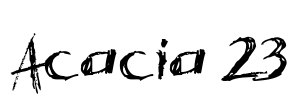 Acacia 23 Font Image