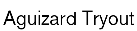 Aguizard Tryout Font Image