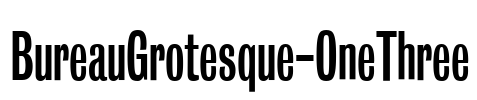 BureauGrotesque-OneThree Font Image