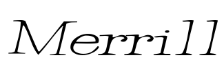 Merrill Font Image