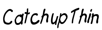 Catchup Thin Font Image