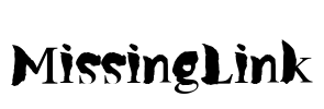 MissingLink Font Image