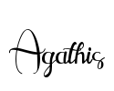 Agathis