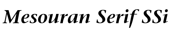 Mesouran Serif SSi Font Image