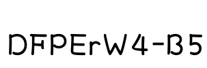 DFPErW4-B5 Font Image