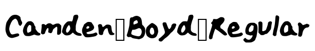 Camden_Boyd_Regular Font Image