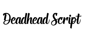 Deadhead Script Font Image