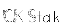 CK Stalk Font Image