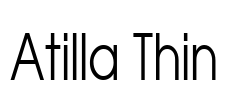 Atilla Thin