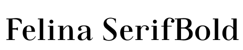 Felina SerifBold Font Image