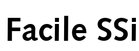 Facile SSi Font Image