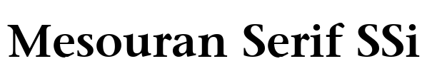 Mesouran Serif SSi Font Image