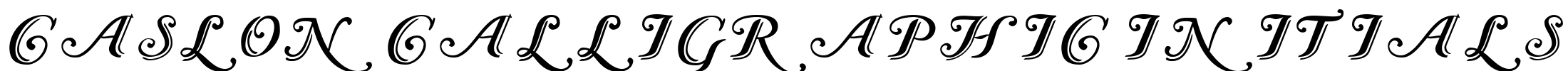 Caslon Calligraphic Initials Font Image