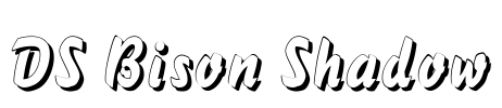 DS Bison Shadow Font Image