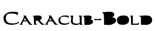 Caracub-Bold Font Image