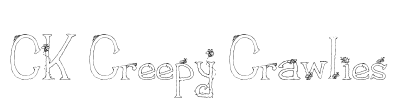 CK Creepy Crawlies Font Image