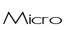 Micro