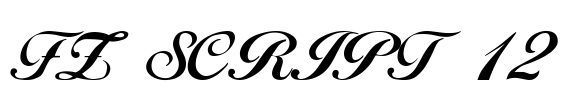 FZ SCRIPT 12 Font Image