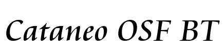 Cataneo OSF BT Font Image