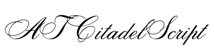 ATCitadelScript