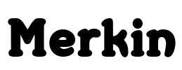 Merkin Font Image