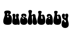 Bushbaby Font Image