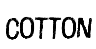 Cotton Font Image