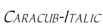 Caracub-Italic Font Image