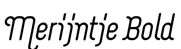 Merijntje Bold Font Image