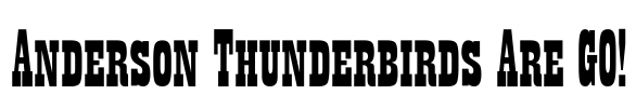 Anderson Thunderbirds Are GO! Font Image