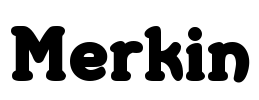 Merkin Font Image