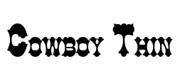 Cowboy Thin Font Image