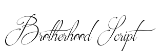 Brotherhood Script Font Image