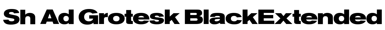 Sh Ad Grotesk BlackExtended