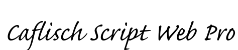 Caflisch Script Web Pro Font Image