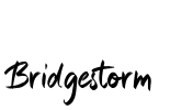 Bridgestorm