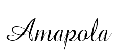 Amapola Font Image