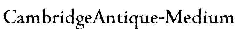 CambridgeAntique-Medium Font Image