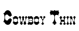 Cowboy Thin Font Image